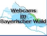 Webcams bayerischer Wald