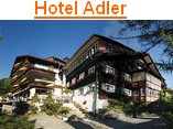 Hotel Adler