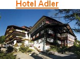 Hotel Adler